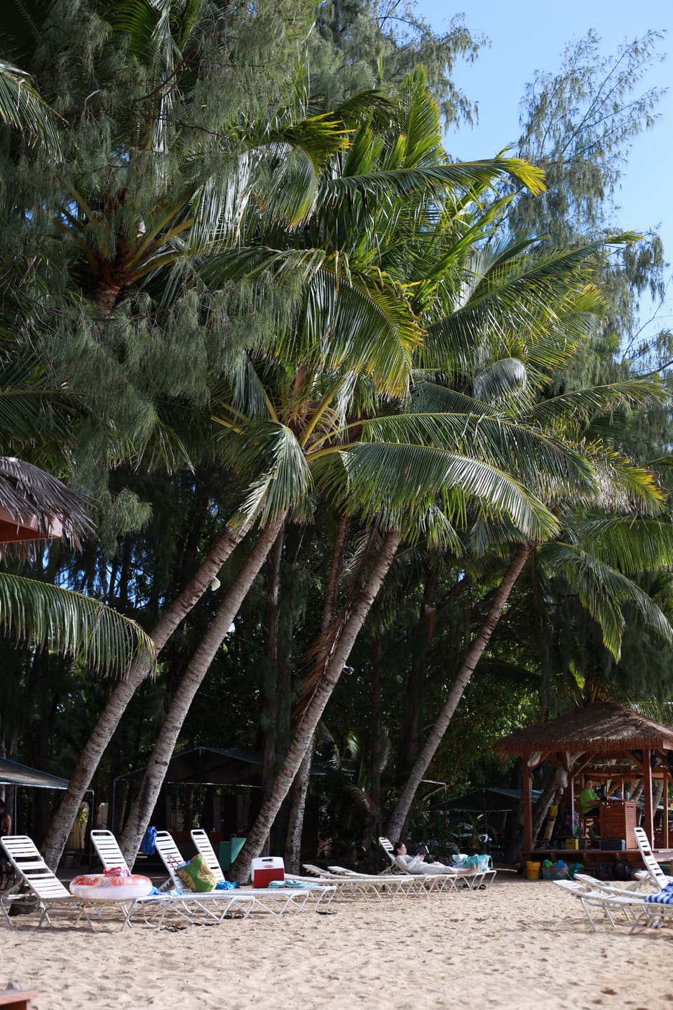 Cover photo of Hawaii