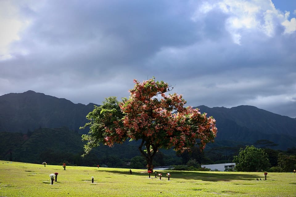 Hawaii, photo 7