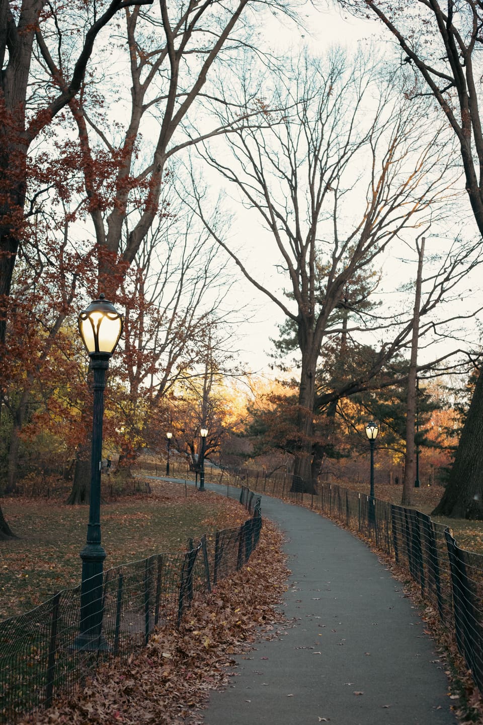 NYC, photo 2