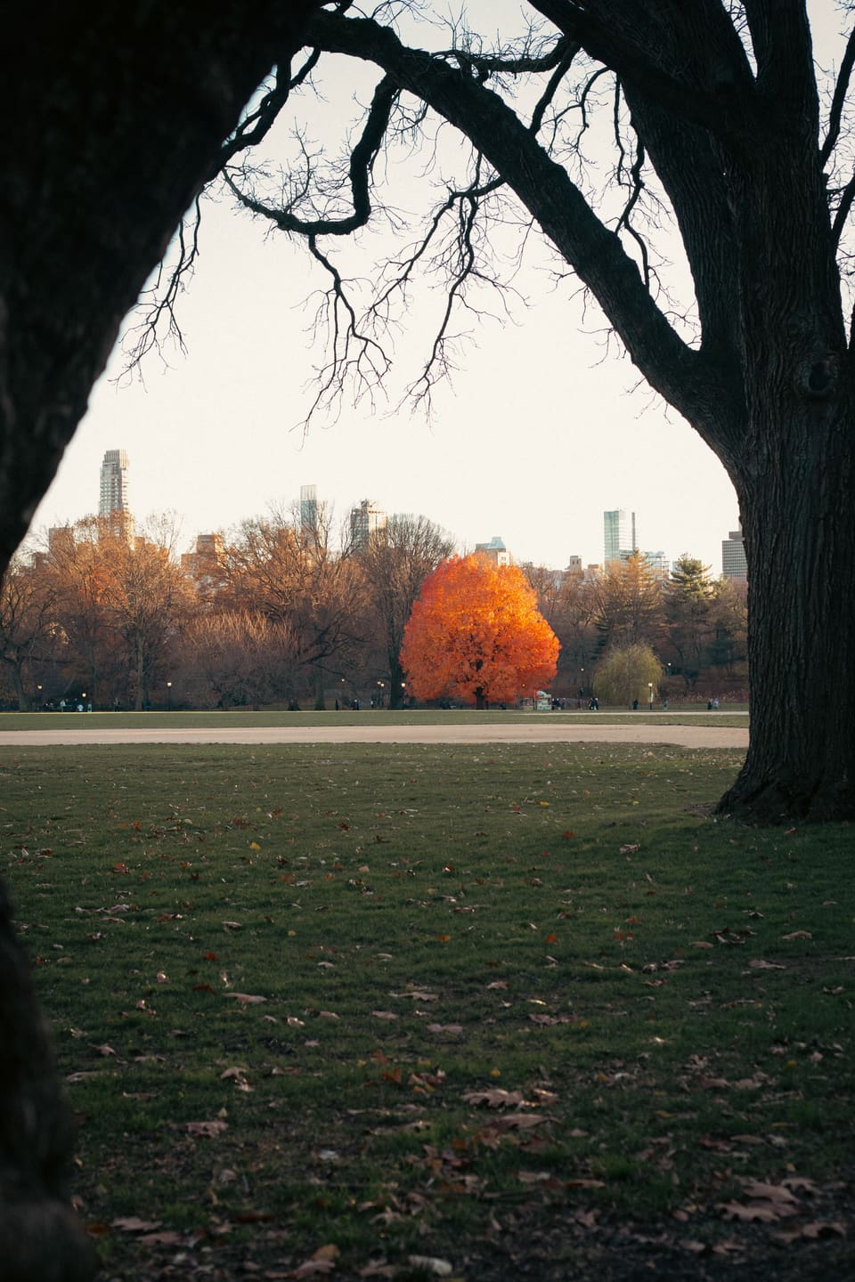 NYC, photo 8