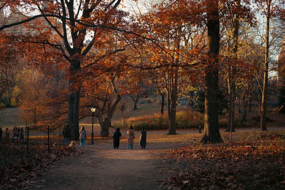 NYC, photo 5