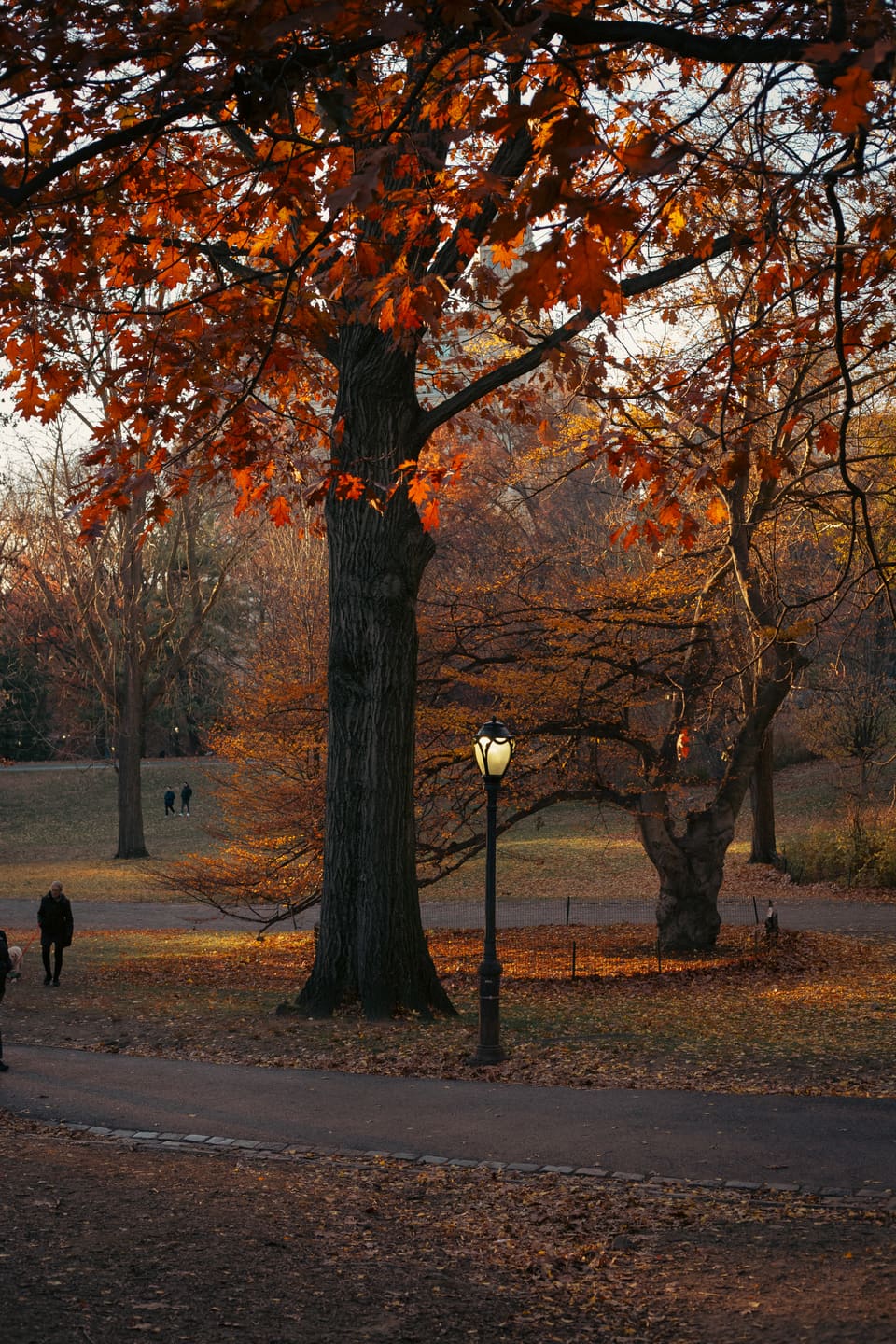 NYC, photo 4